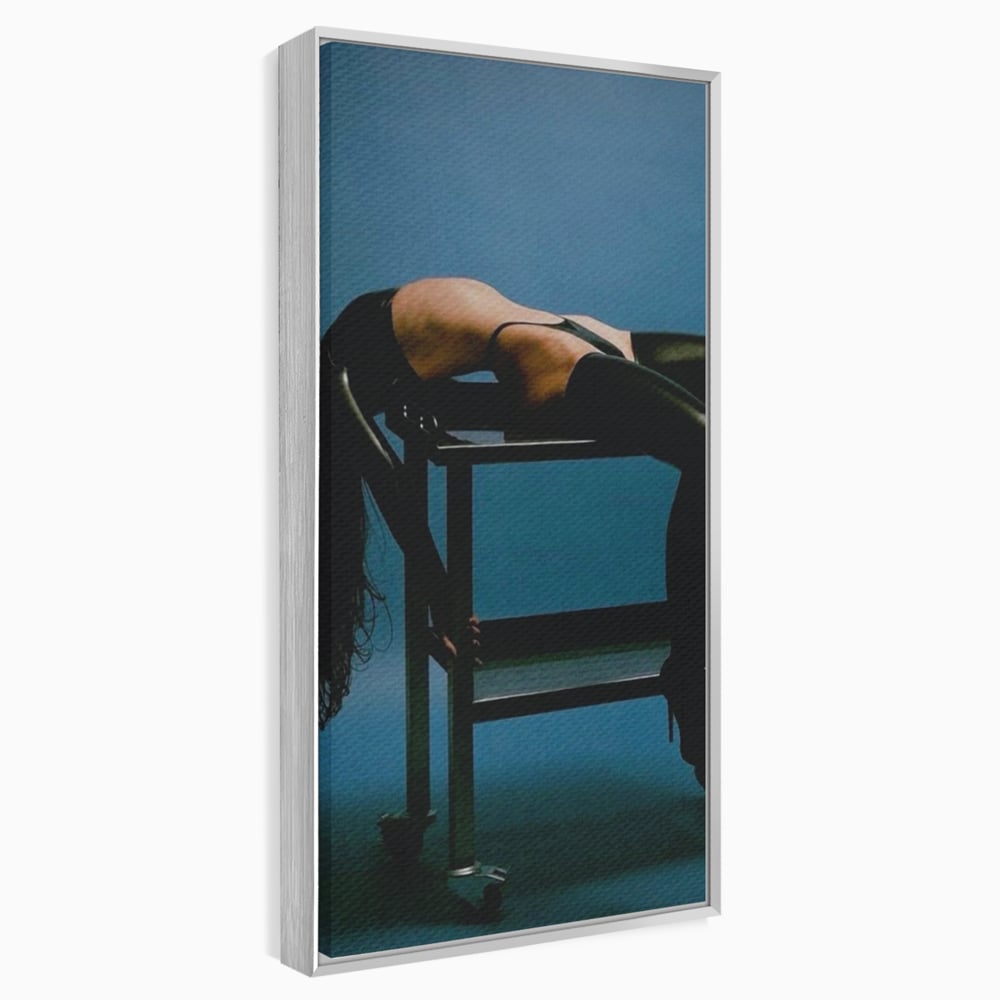 Tablou canvas cu tablou canvas cu silueta curbata pe masa, in rama de aluminiu argintiu